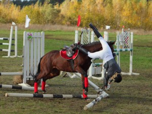 Equestrian Accidents Are Now One of the Leading Causes of Brain Injuries Equestrian Accidents Are Now One of the Leading Causes of Brain Injuries