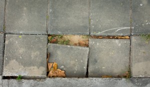 Were You Injured on Someone Else’s Property? Learn About the Potential for a Slip and Fall Personal Injury Case Were You Injured on Someone Else’s Property? Learn About the Potential for a Slip and Fall Personal Injury Case